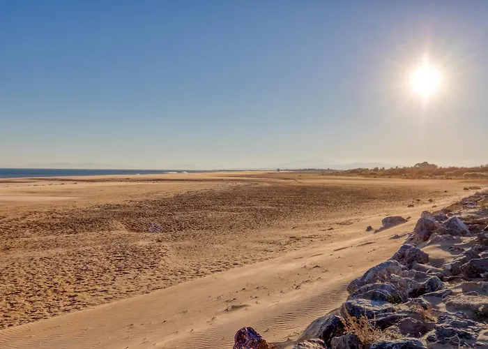 Au Bord De L'eau 50m De La Apartment